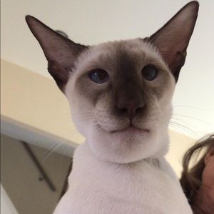 Meet your Posher, Claudia